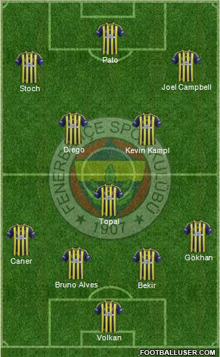 Fenerbahçe SK Formation 2014
