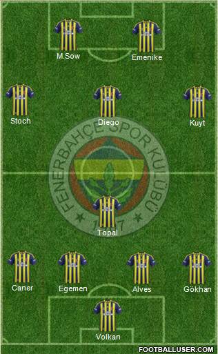 Fenerbahçe SK Formation 2014