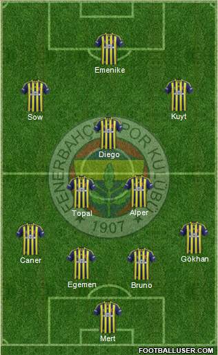 Fenerbahçe SK Formation 2014