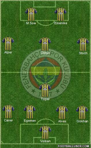 Fenerbahçe SK Formation 2014