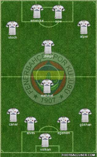 Fenerbahçe SK Formation 2014