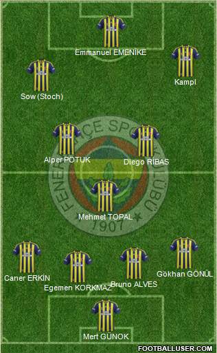 Fenerbahçe SK Formation 2014