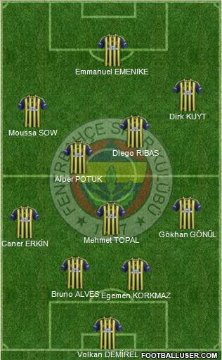 Fenerbahçe SK Formation 2014