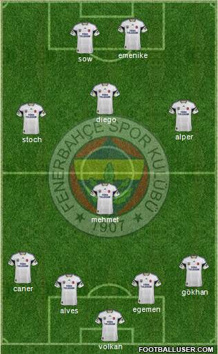 Fenerbahçe SK Formation 2014