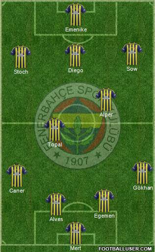 Fenerbahçe SK Formation 2014