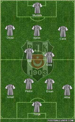 Besiktas JK Formation 2014