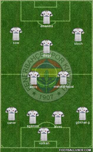 Fenerbahçe SK Formation 2014