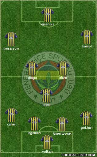 Fenerbahçe SK Formation 2014