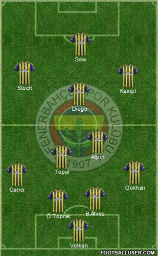 Fenerbahçe SK Formation 2014