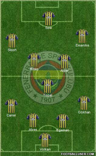 Fenerbahçe SK Formation 2014
