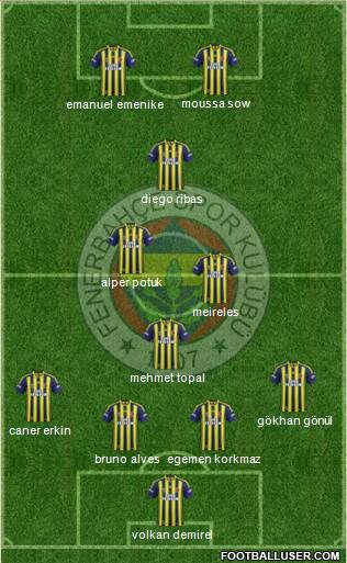 Fenerbahçe SK Formation 2014
