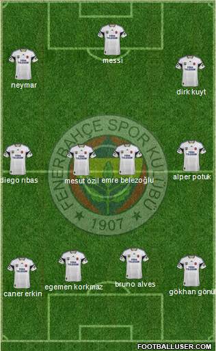 Fenerbahçe SK Formation 2014