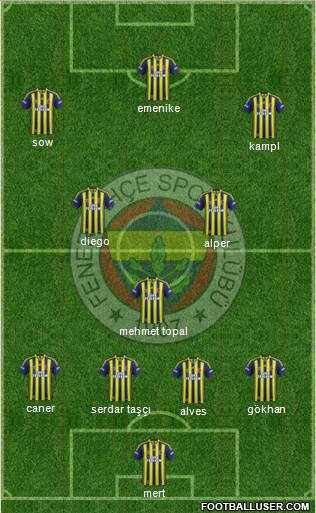 Fenerbahçe SK Formation 2014