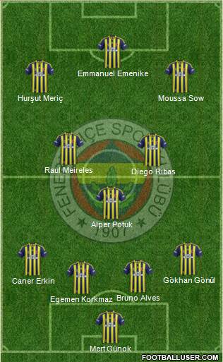 Fenerbahçe SK Formation 2014