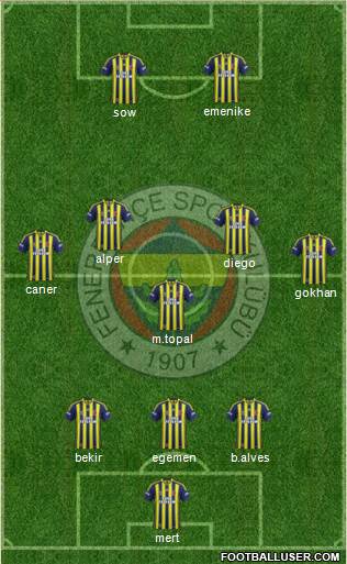 Fenerbahçe SK Formation 2014