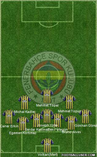 Fenerbahçe SK Formation 2014
