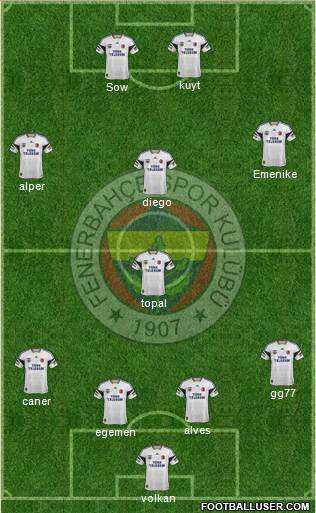Fenerbahçe SK Formation 2014