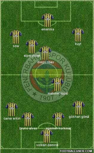 Fenerbahçe SK Formation 2014