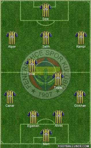 Fenerbahçe SK Formation 2014