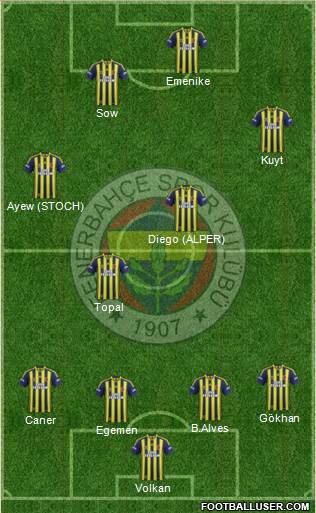 Fenerbahçe SK Formation 2014