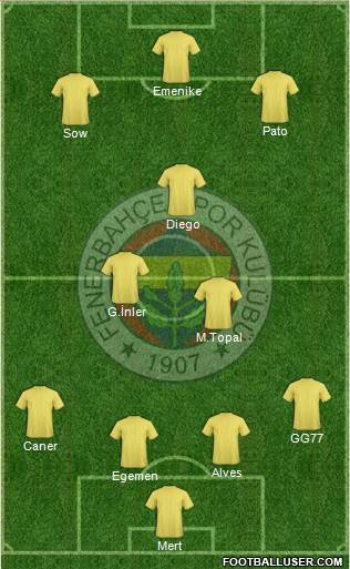 Fenerbahçe SK Formation 2014