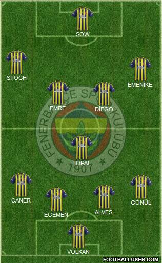 Fenerbahçe SK Formation 2014