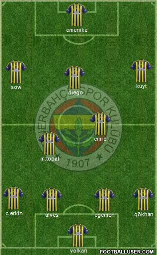 Fenerbahçe SK Formation 2014