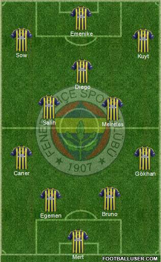 Fenerbahçe SK Formation 2014