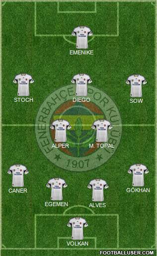 Fenerbahçe SK Formation 2014