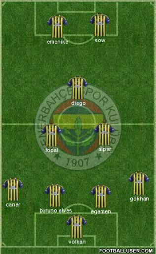 Fenerbahçe SK Formation 2014