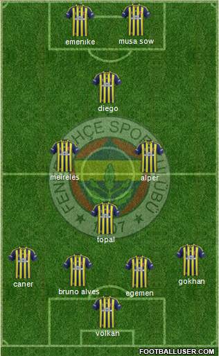 Fenerbahçe SK Formation 2014