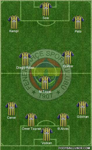 Fenerbahçe SK Formation 2014