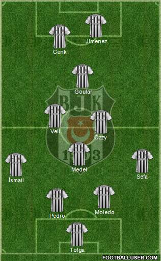 Besiktas JK Formation 2014