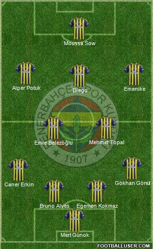 Fenerbahçe SK Formation 2014