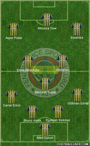 Fenerbahçe SK Formation 2014