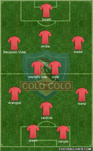 CSD Colo Colo Formation 2014