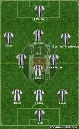 Besiktas JK Formation 2014