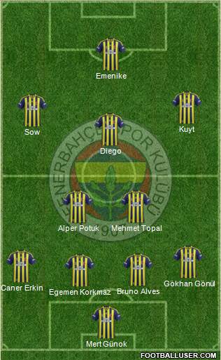 Fenerbahçe SK Formation 2014