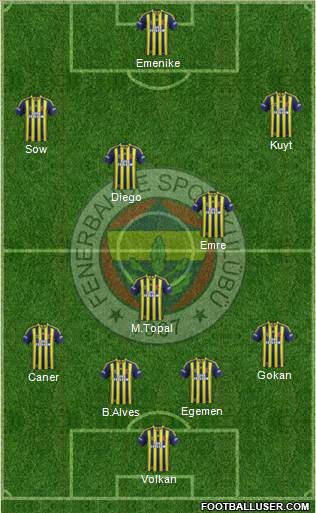 Fenerbahçe SK Formation 2014