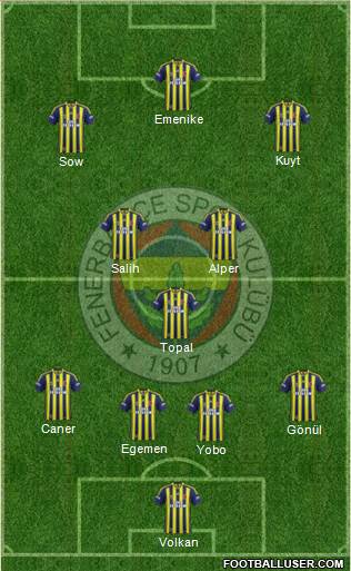 Fenerbahçe SK Formation 2014