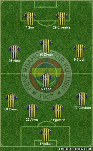 Fenerbahçe SK Formation 2014