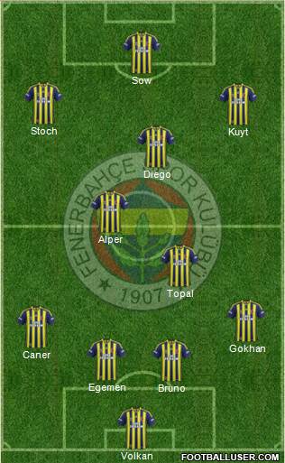 Fenerbahçe SK Formation 2014
