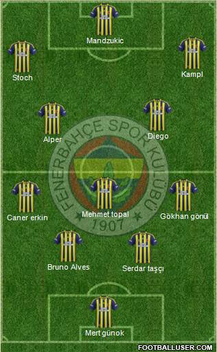 Fenerbahçe SK Formation 2014