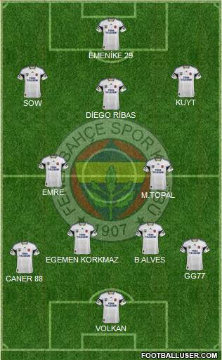 Fenerbahçe SK Formation 2014