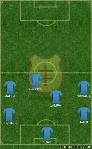 Wierna Malogoszcz Formation 2014