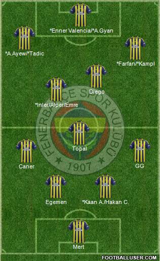 Fenerbahçe SK Formation 2014