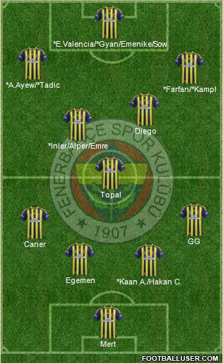 Fenerbahçe SK Formation 2014