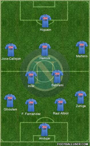 Napoli Formation 2014