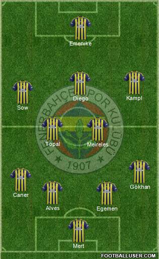 Fenerbahçe SK Formation 2014