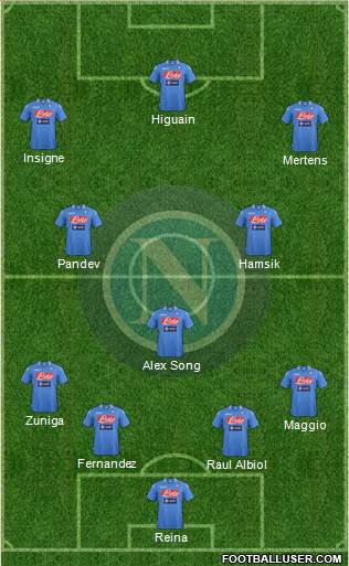 Napoli Formation 2014
